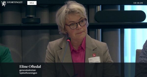 Eline Oftedal i Finanskomiteen på Stortinget
